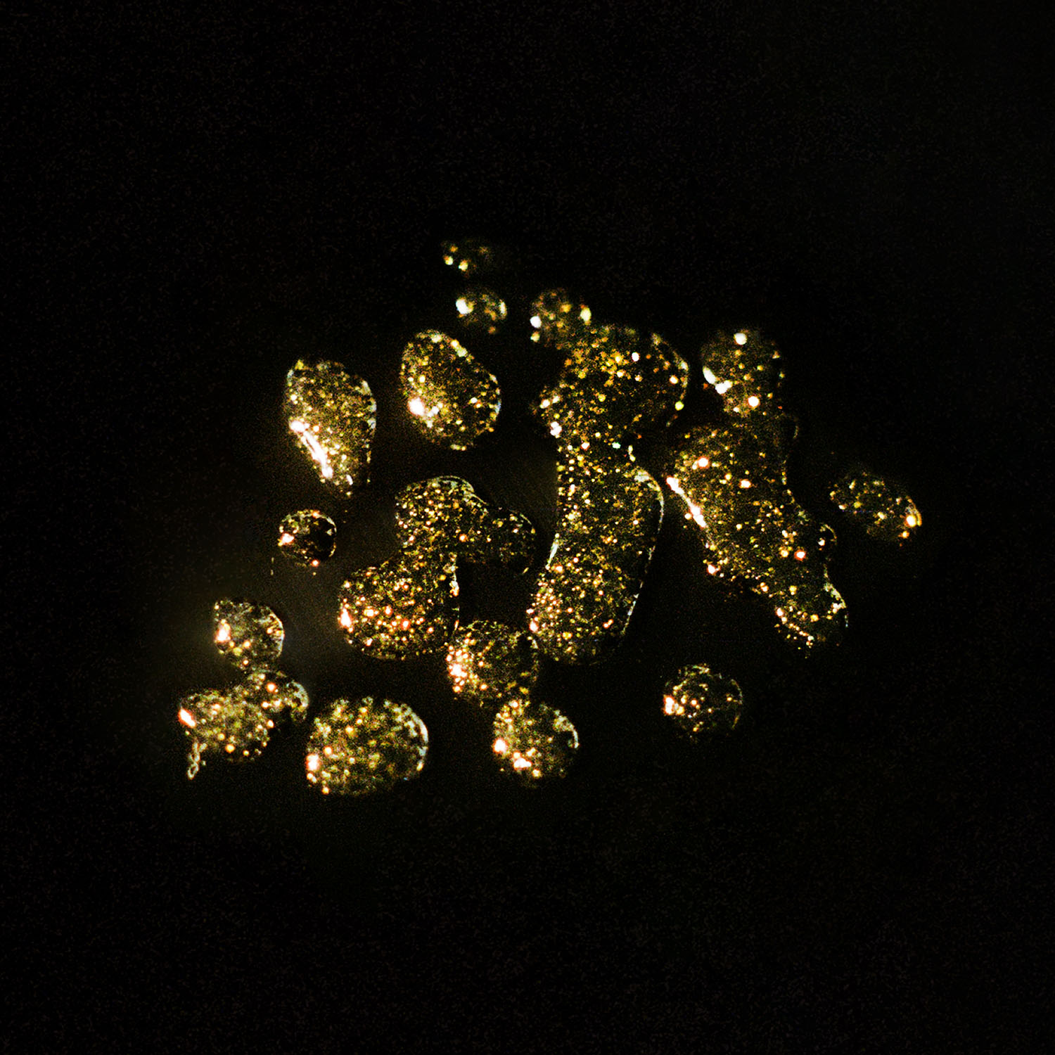 Catbird Shell Polish, 1976 - Image 10