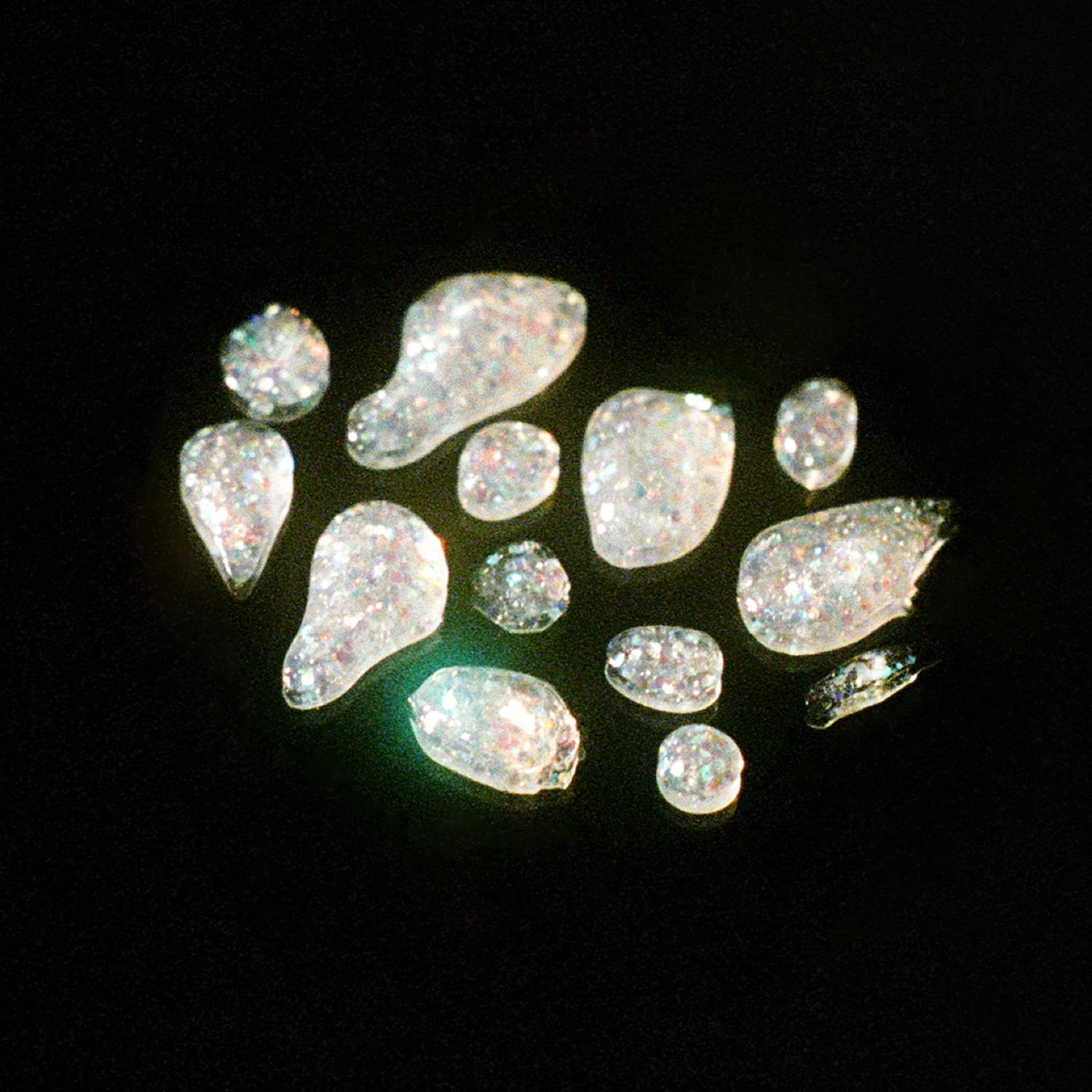 Catbird Shell Polish, Spring Fairy - Image 11