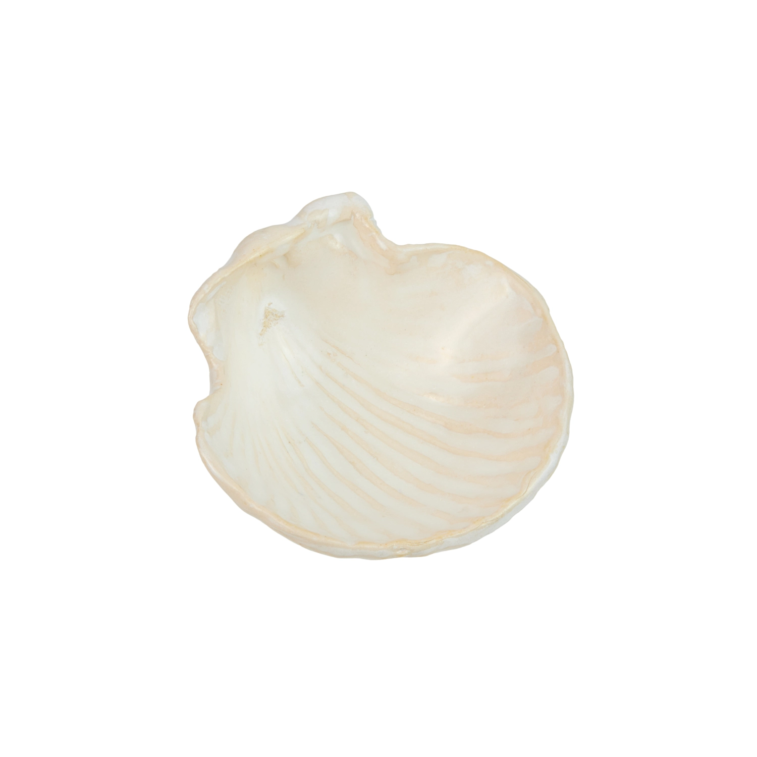 Botticelli Bowl - Image 4