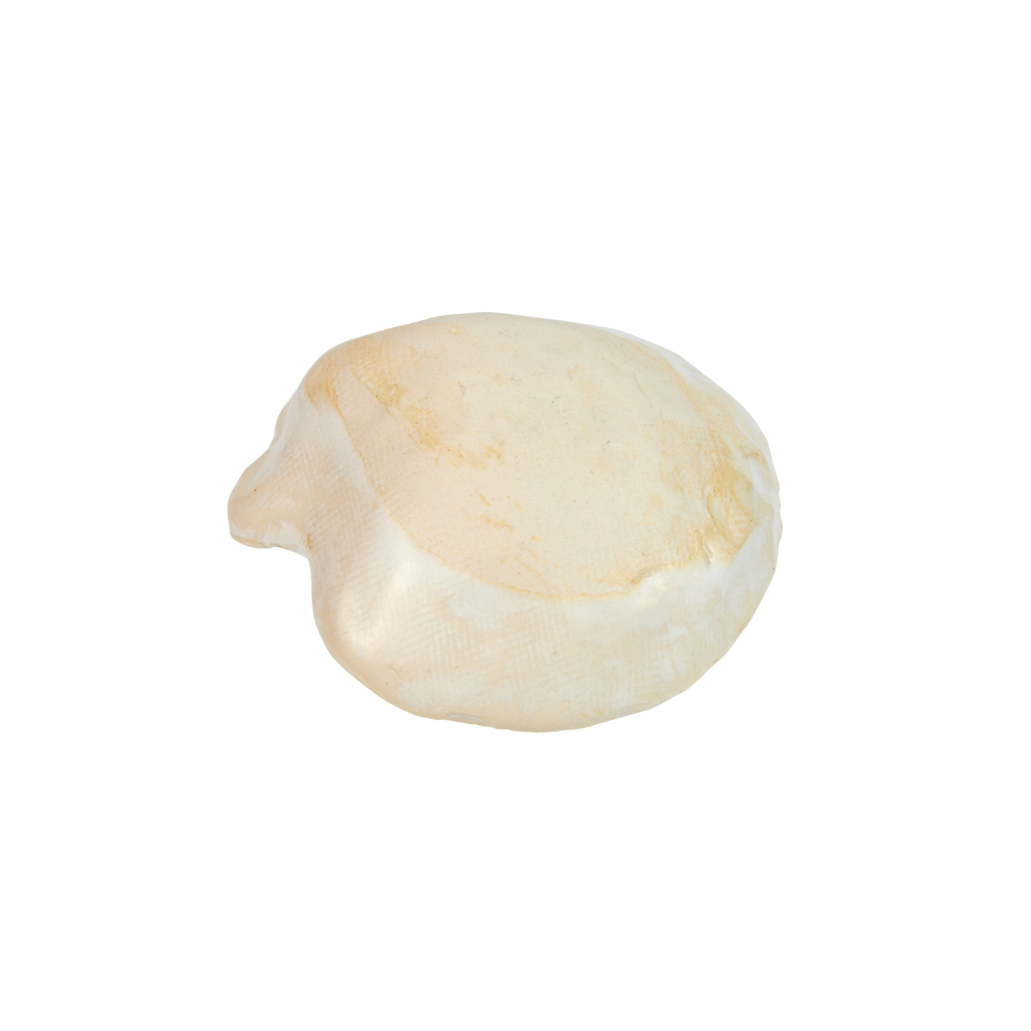 Botticelli Bowl - Image 5