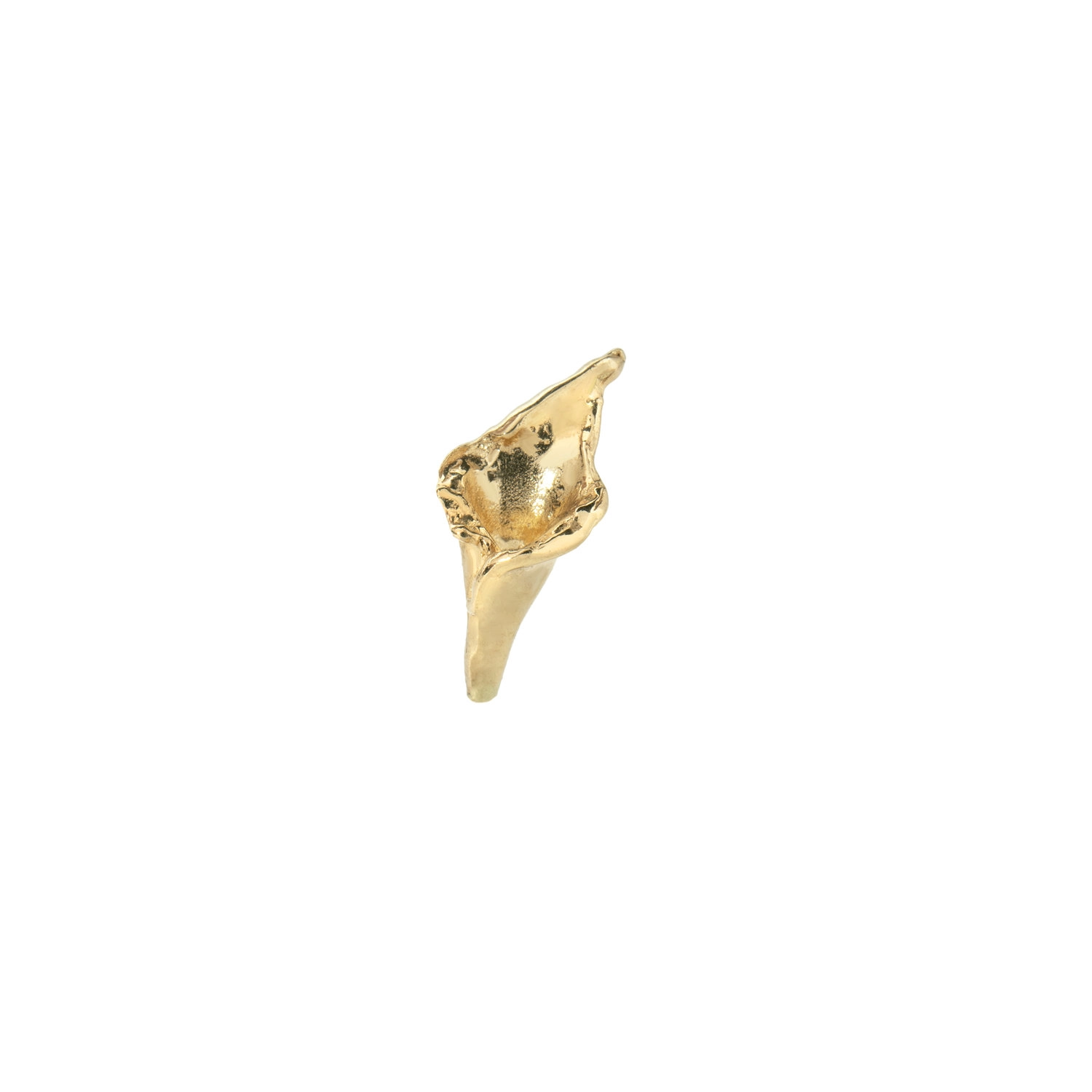Calla Lily - Image 5