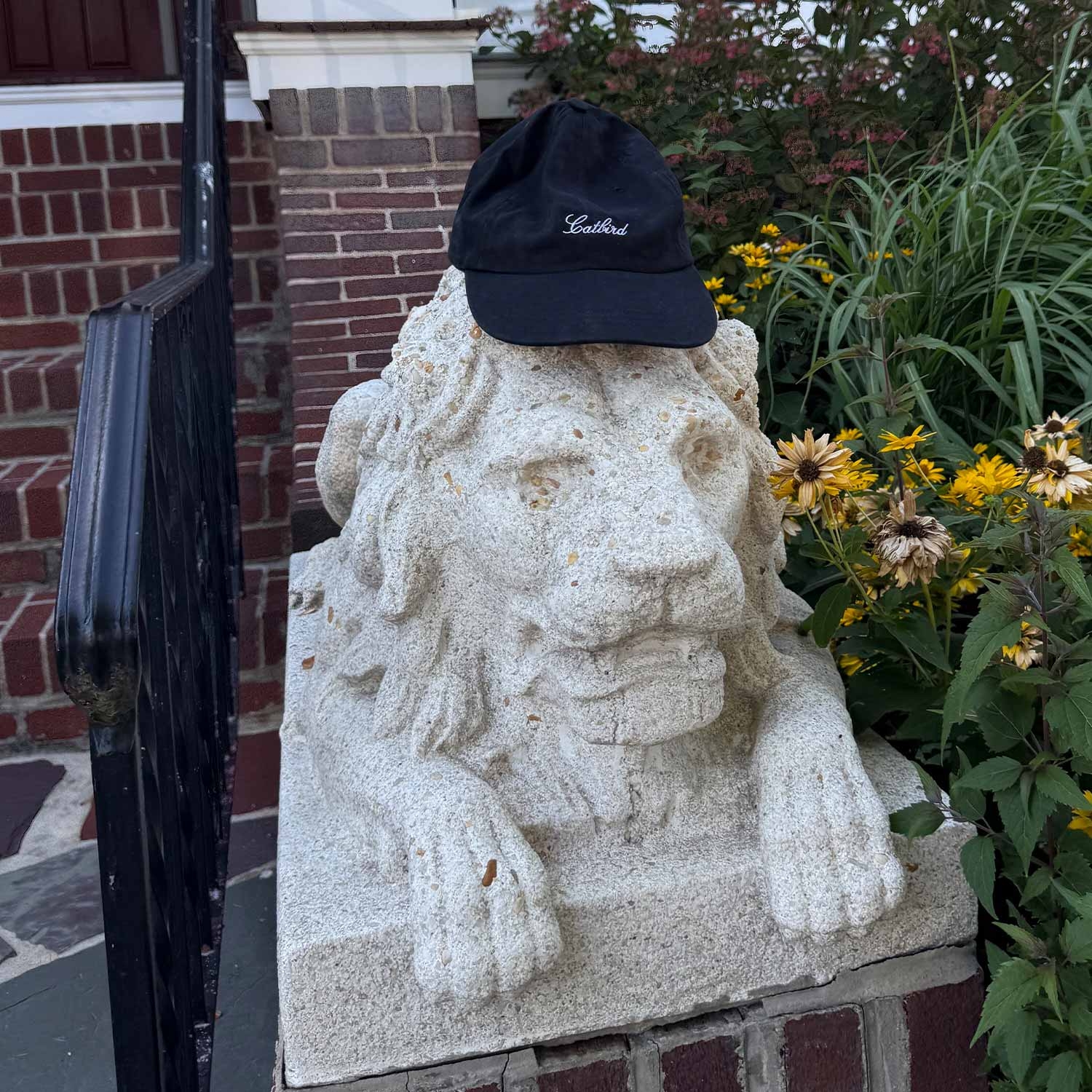 Catbird Souvenir Shell Cap - Image 11