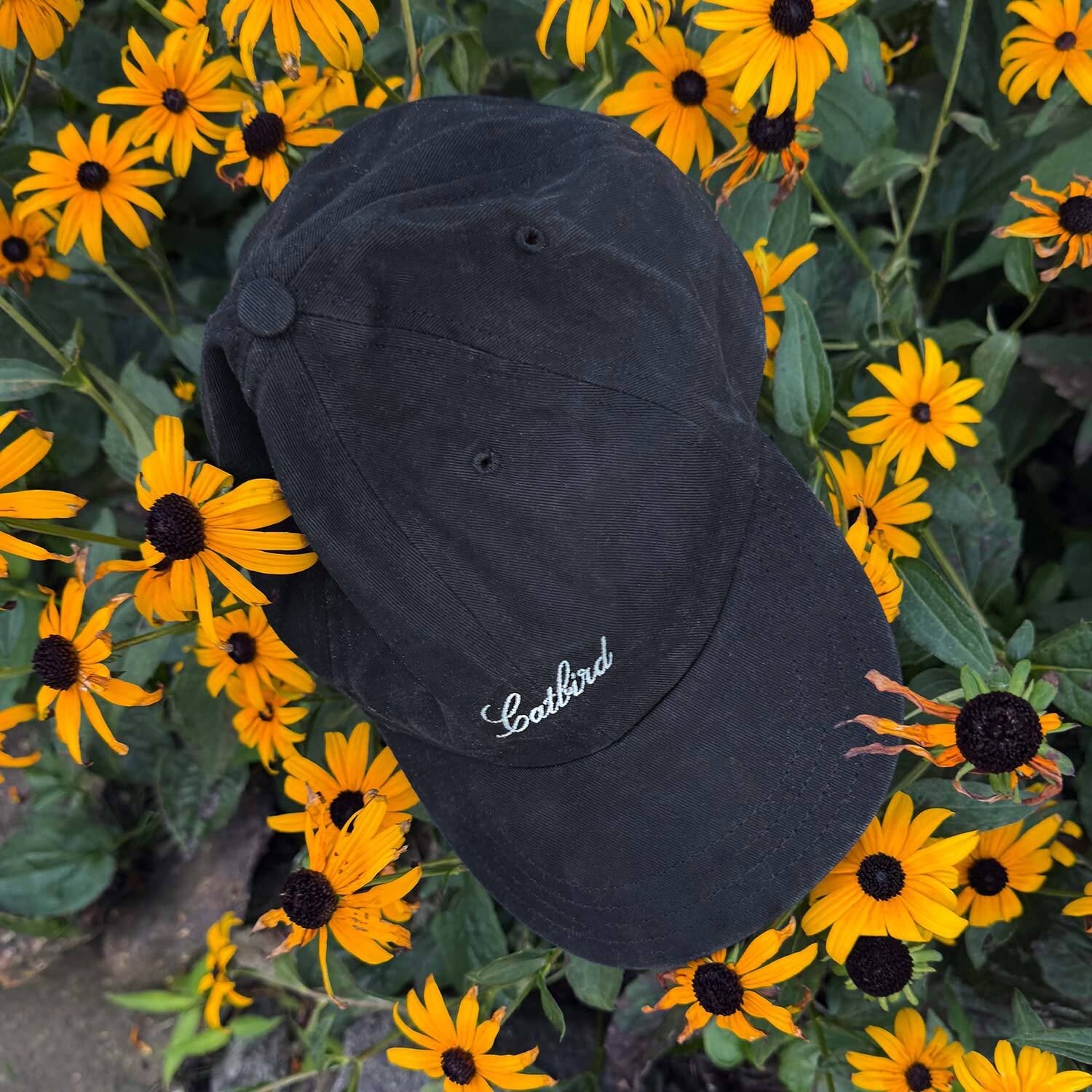 Catbird Souvenir Shell Cap - Image 9