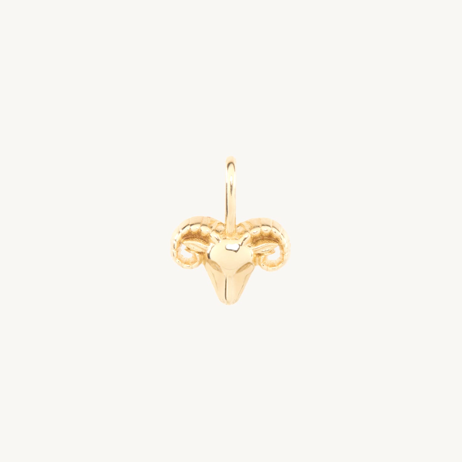 Tiniest Zodiac Charm