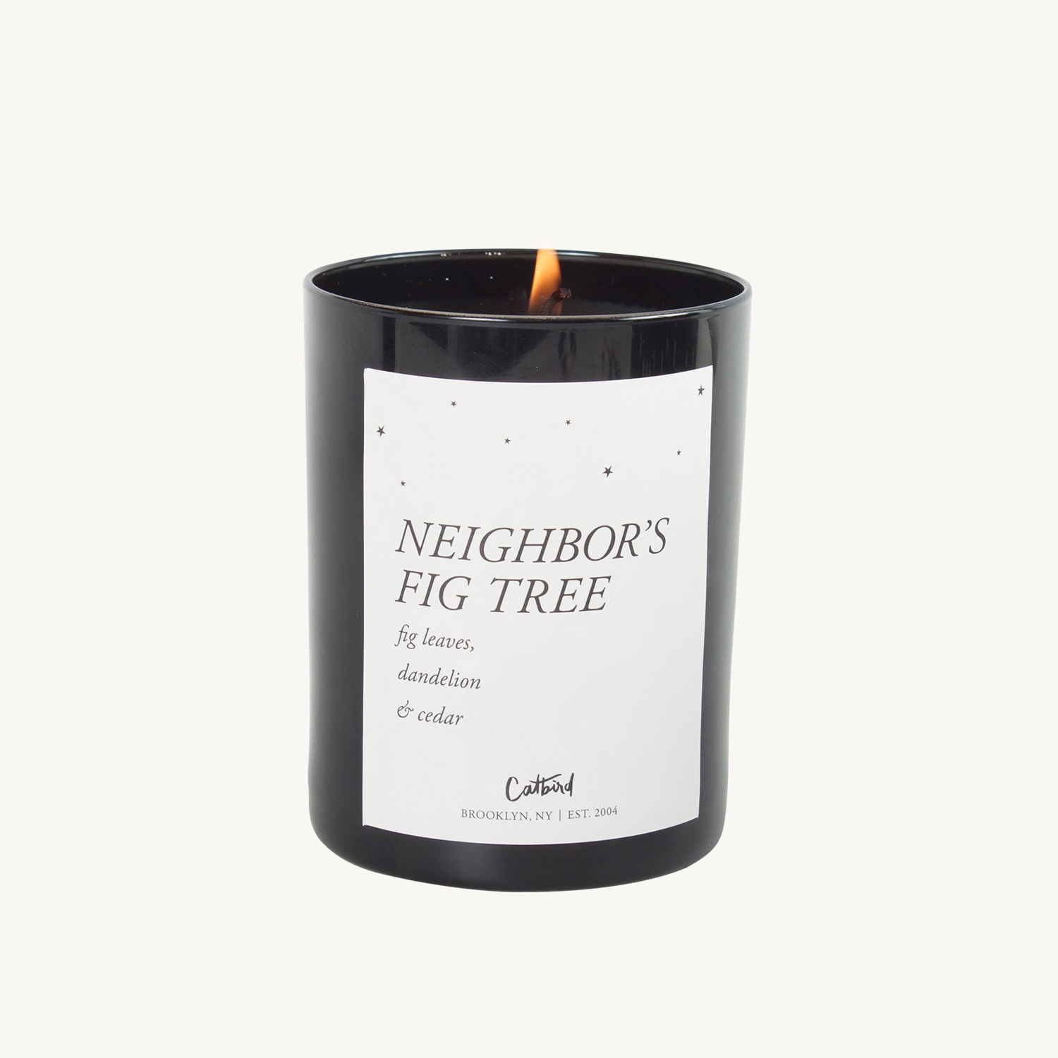 Neighbor's Fig Tree Candle - Image 11