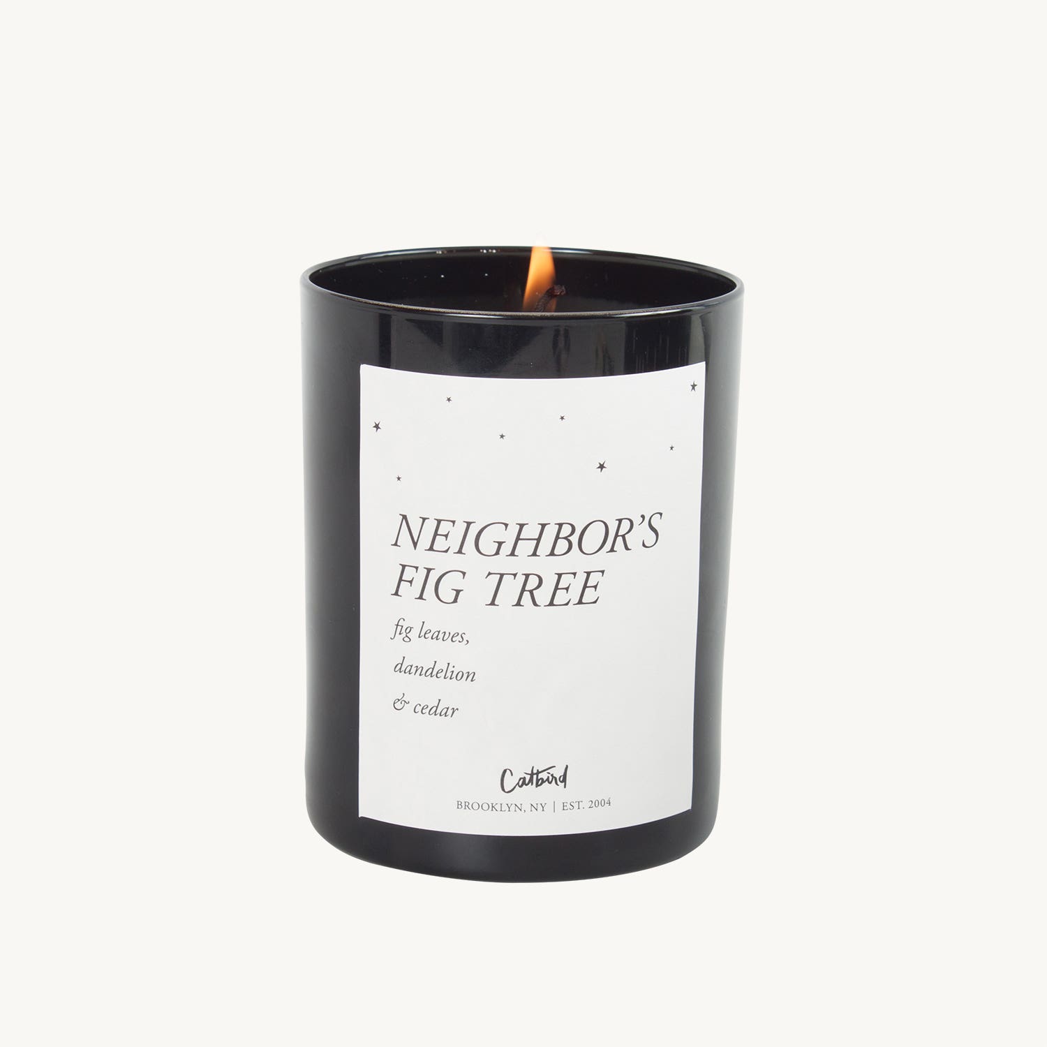 Neighbor's Fig Tree Candle