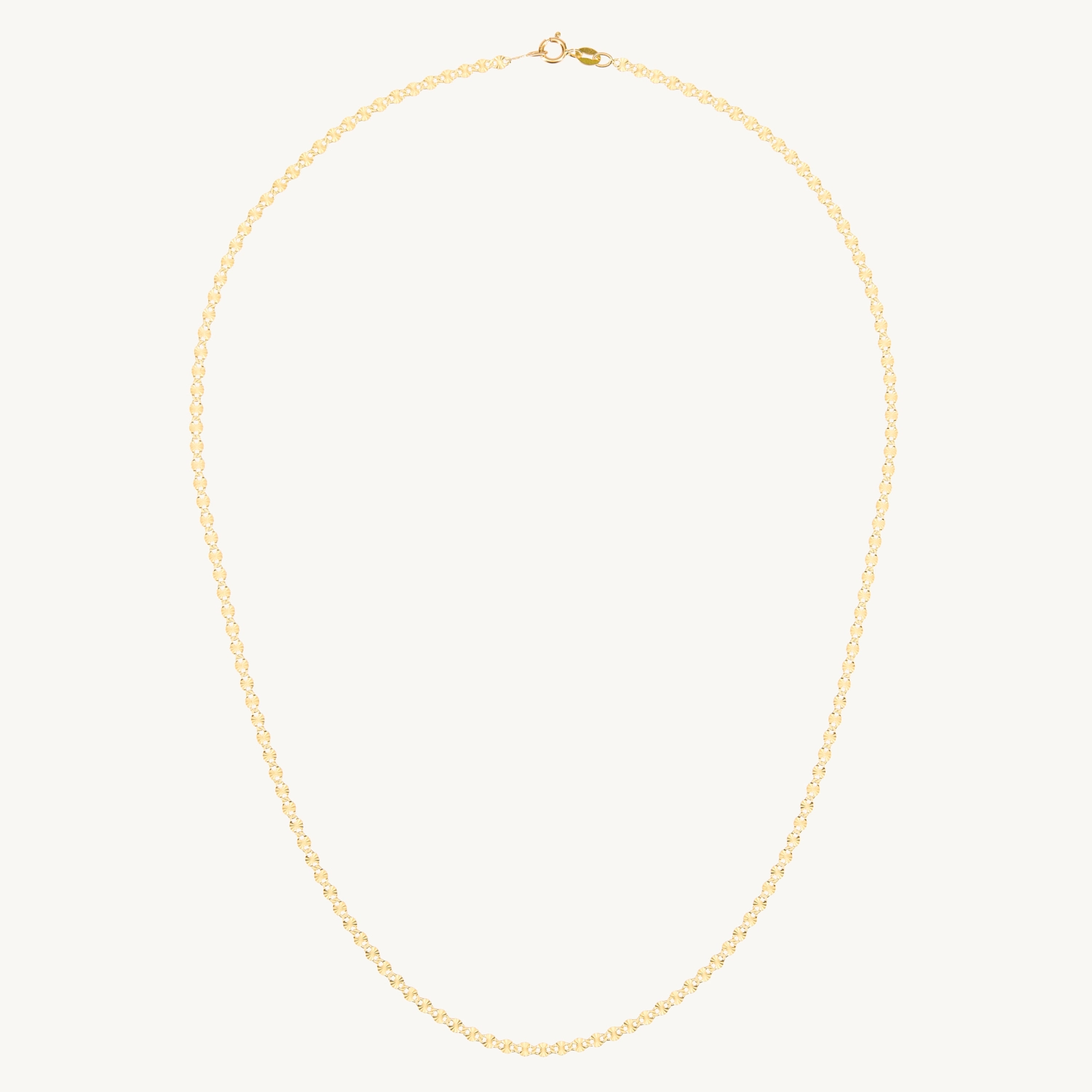 Flowering Gold Chain - Image 15
