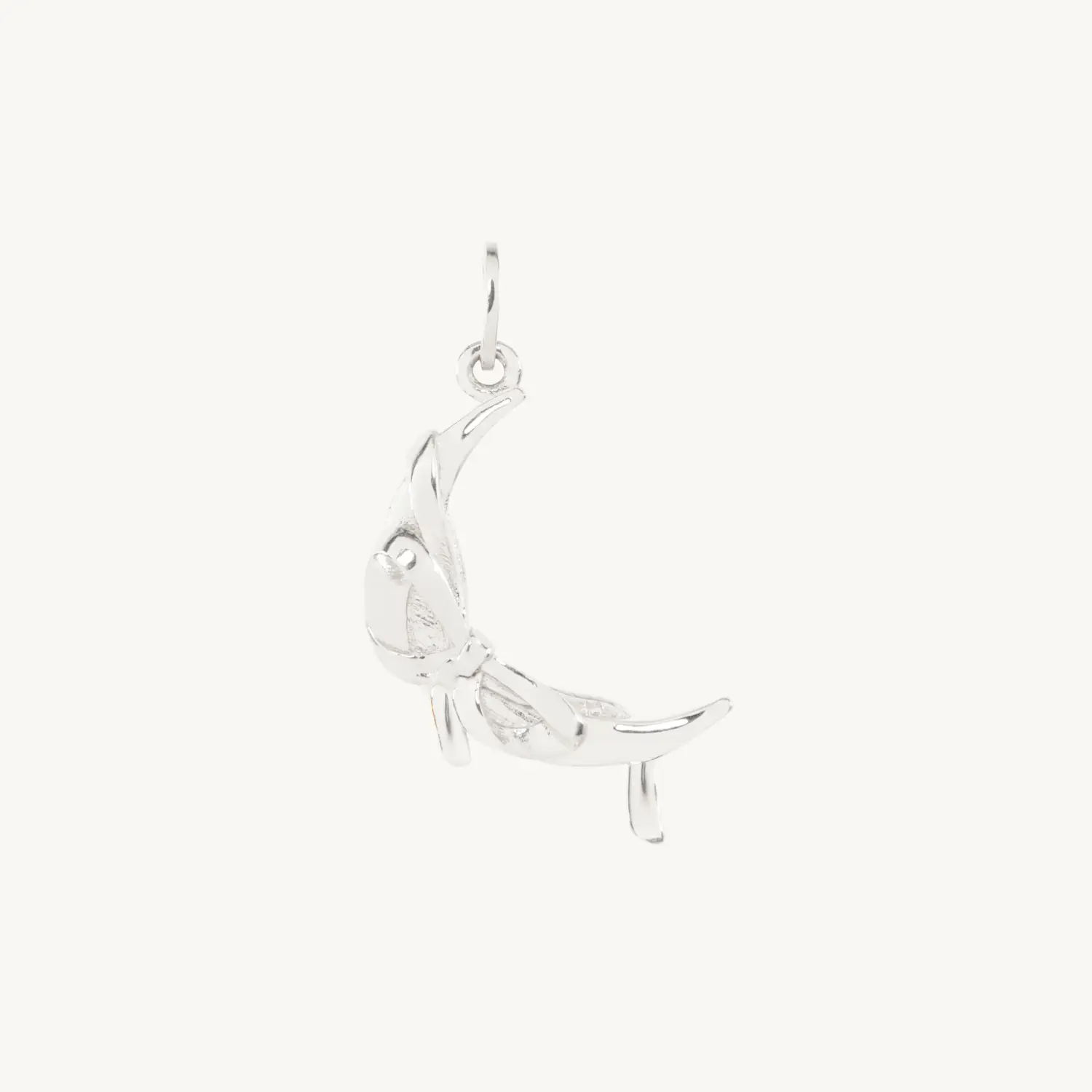 Serendipity Moon Charm, Silver