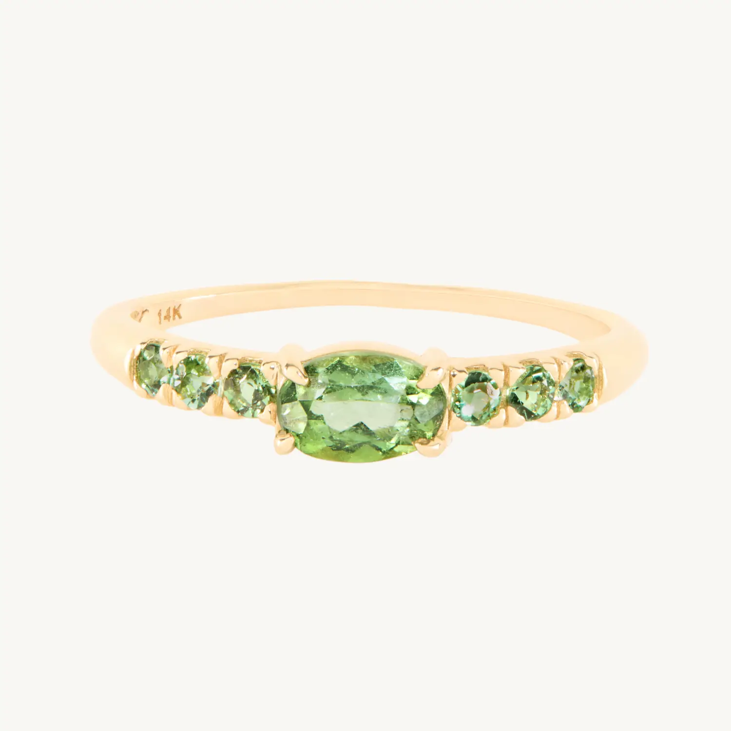 Past and Present Tourmaline Ring