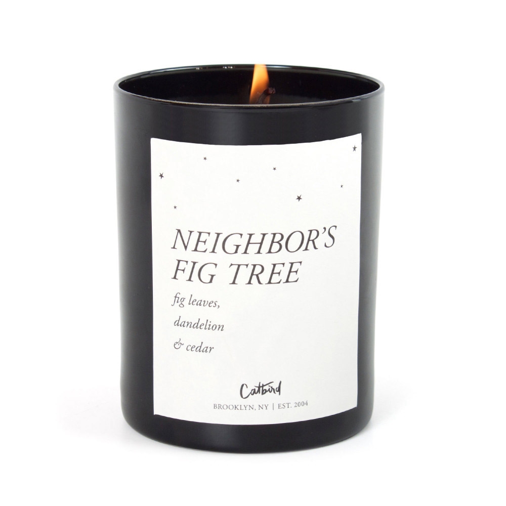 Neighbor's Fig Tree Candle - Image 4