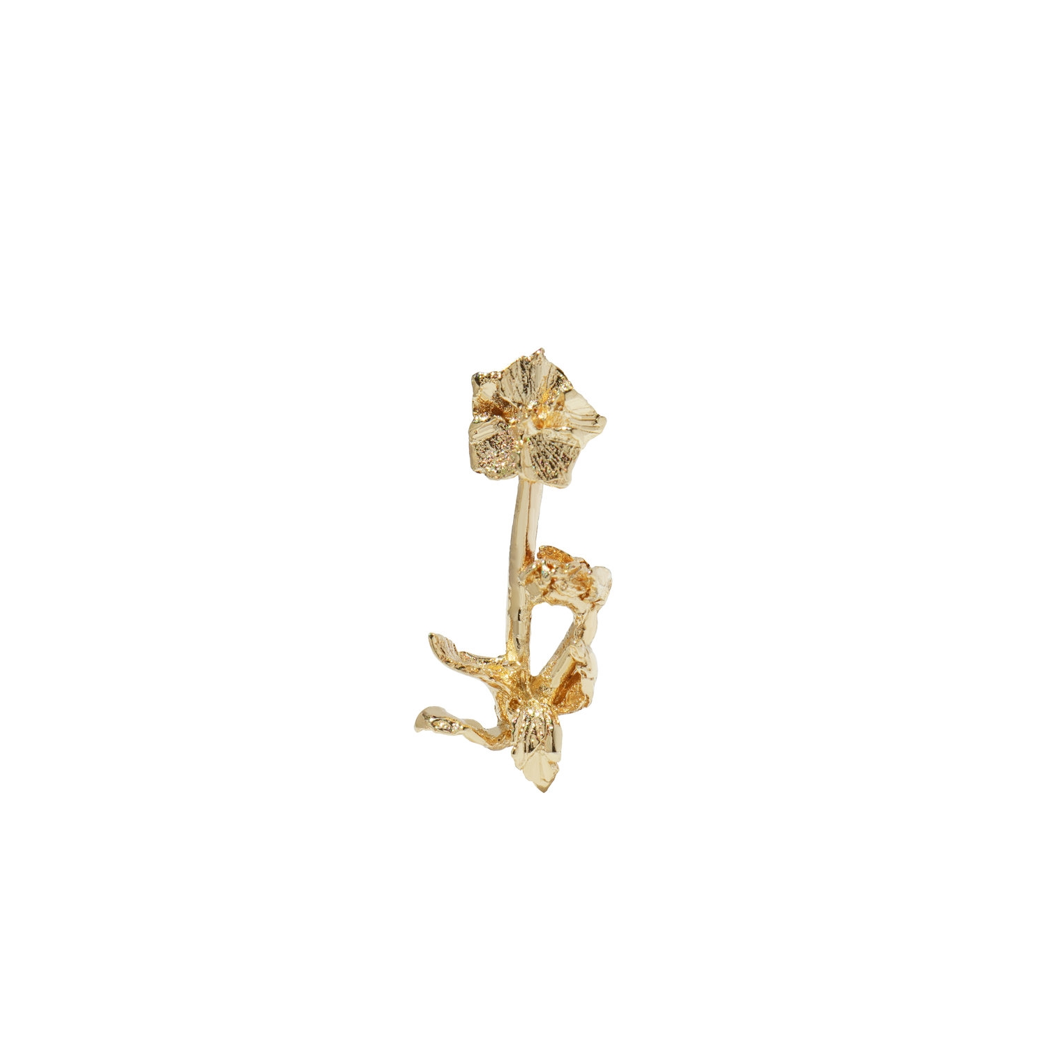 Hellebore - Image 7