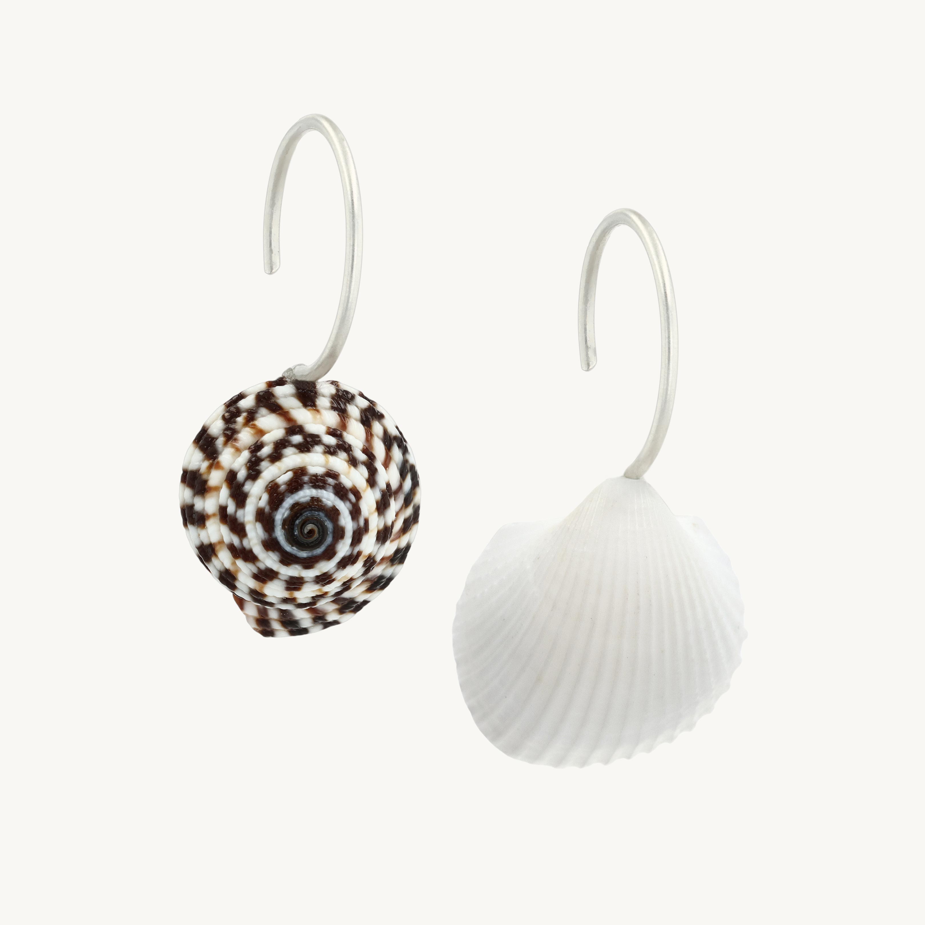 Seashell Earrings (pair) - Image 6