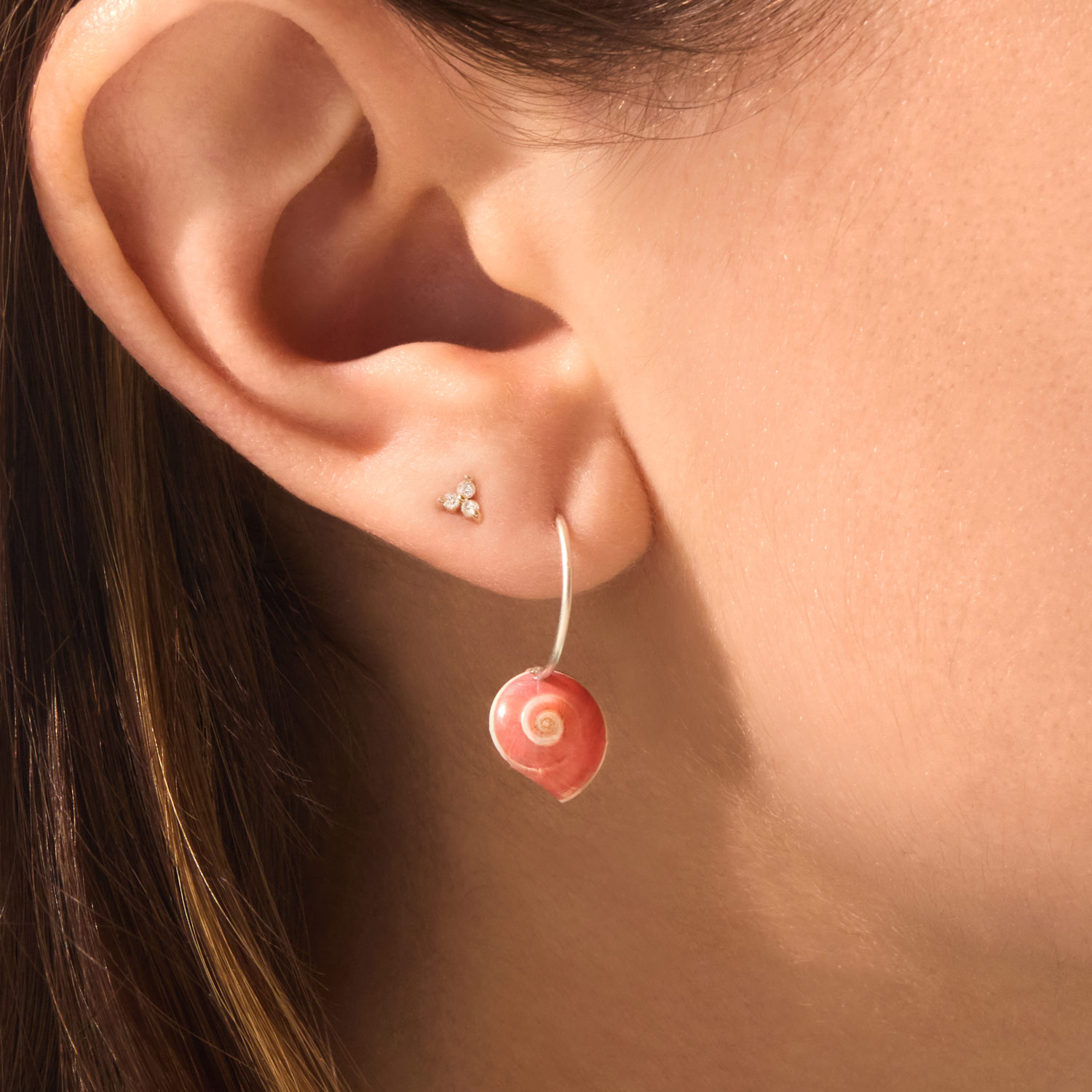 Small Seashell Earrings (pair) - Image 4