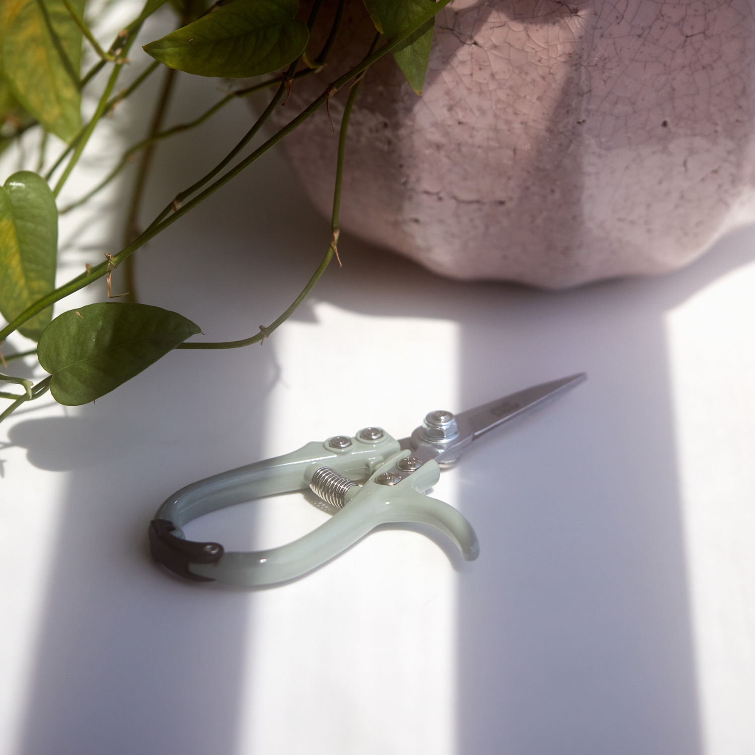 Flowering Shears - Image 5