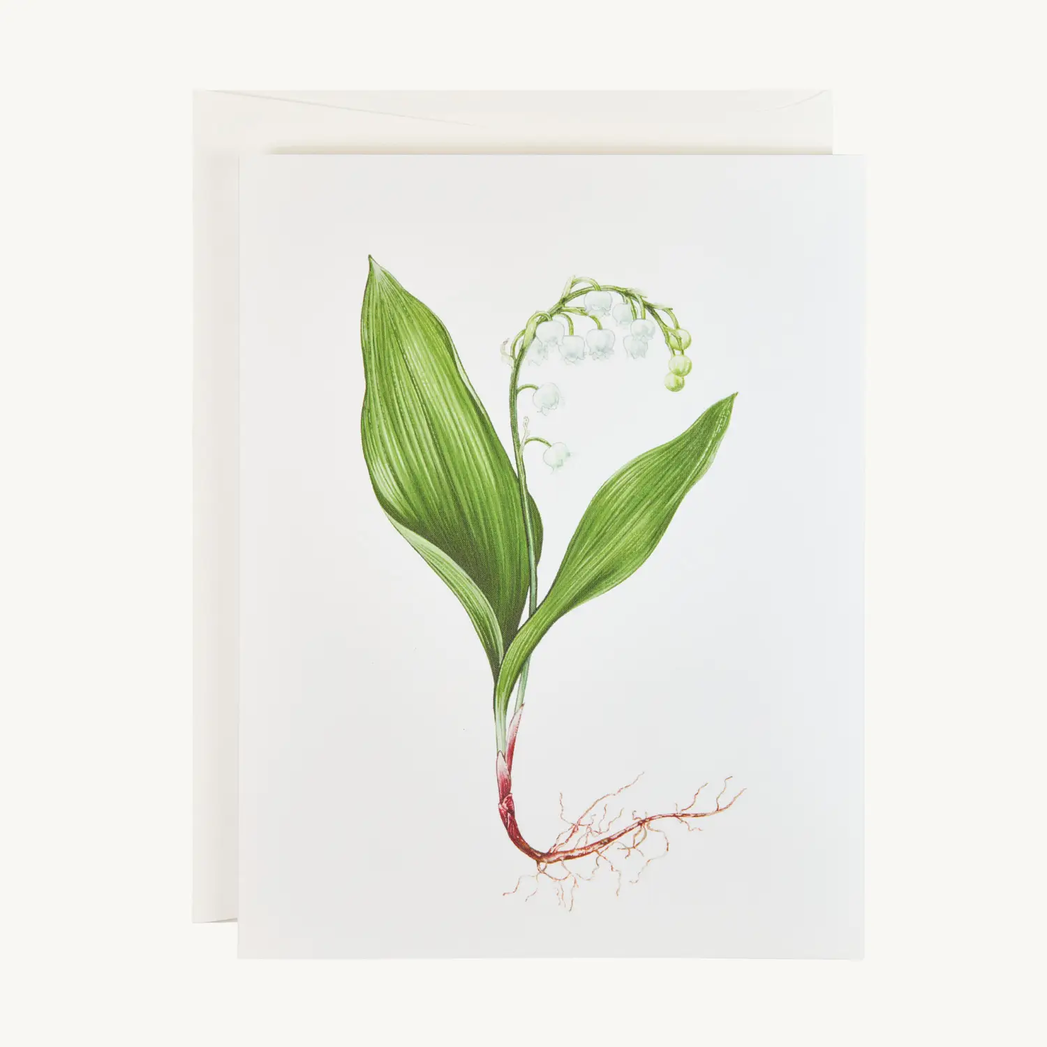 Lily of the Valley Card