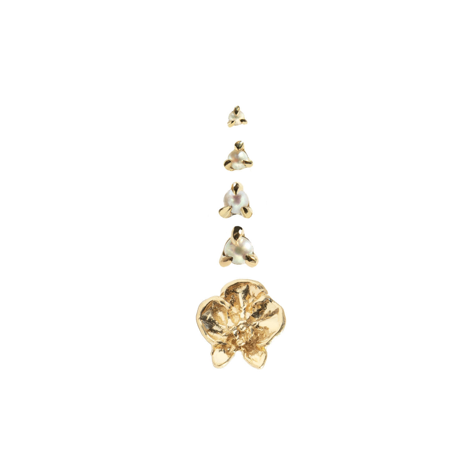 Orchid - Image 3