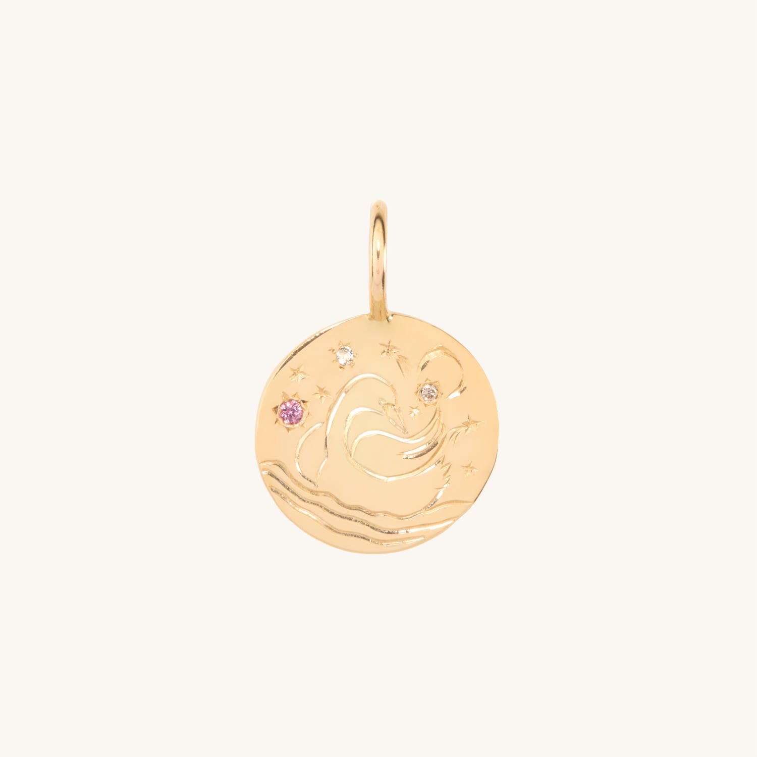 Swan and Stars Charm