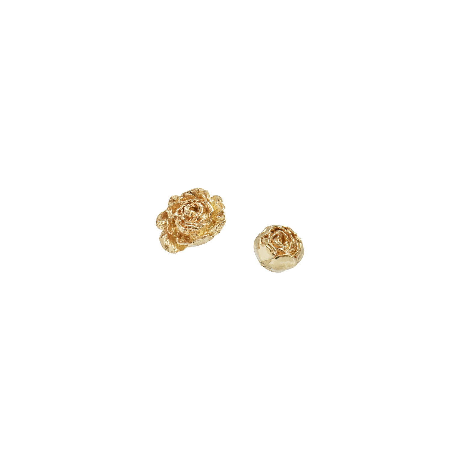 Ranunculus - Image 4