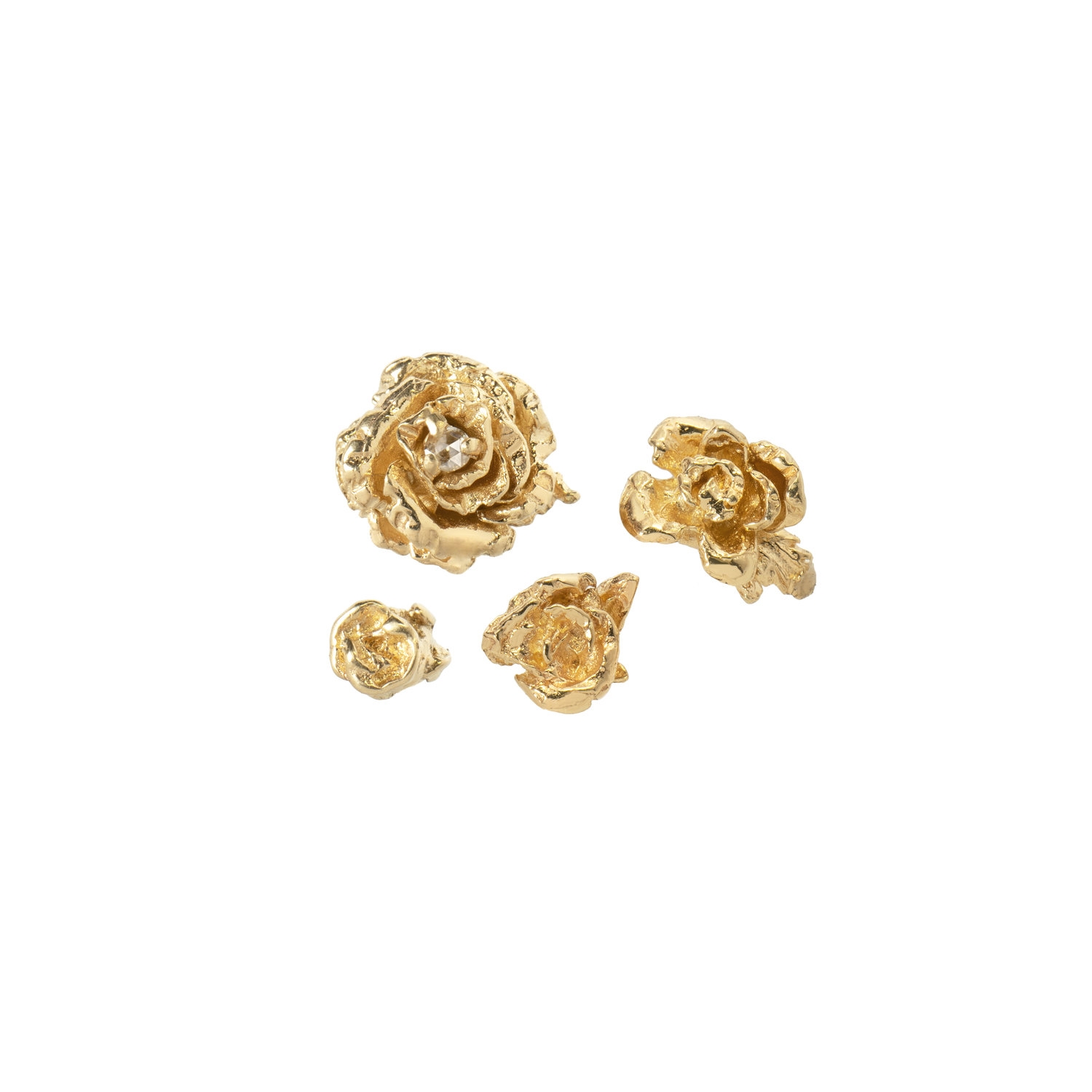 Roses - Image 5