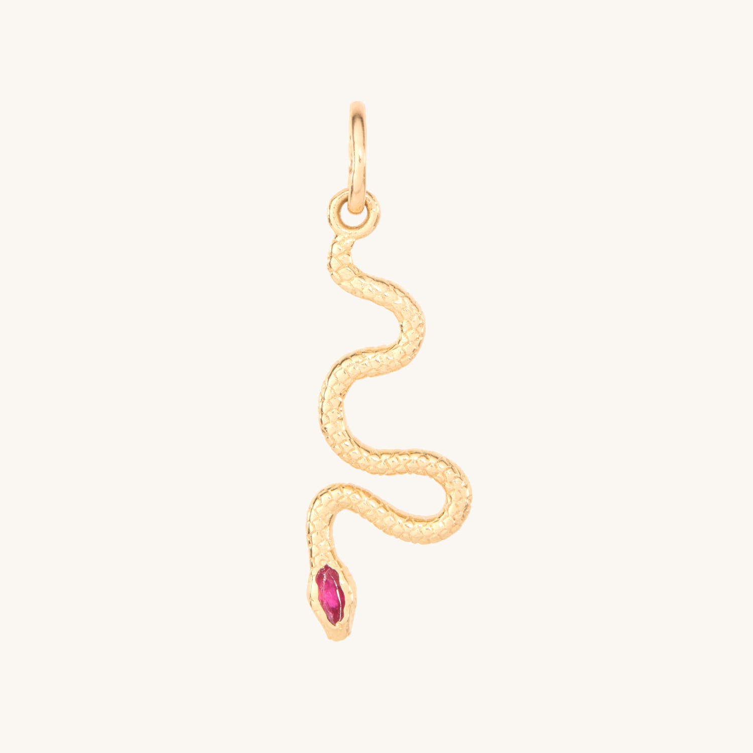 Ruby Serpent Charm
