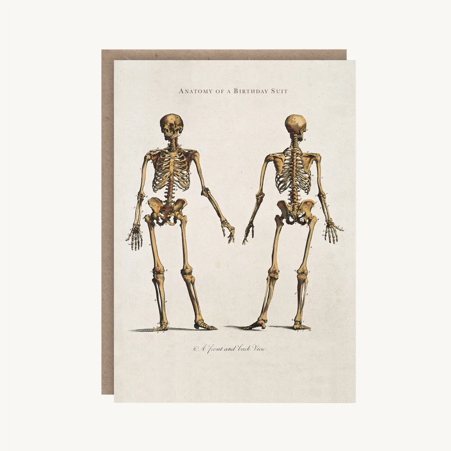 Anatomy Of A Birthday Suit Birthday Card