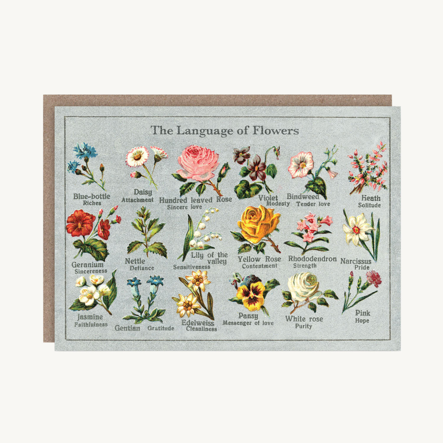 Language of Flowers Card - Image 4